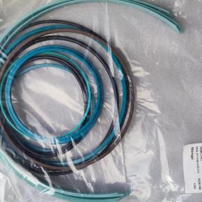 Pm Putzmeister seal kit 543035